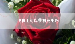 飞机上可以手机充电吗