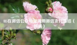 H5在微信公众号里调用微信支付总结（前端）