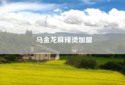 马金龙麻辣烫加盟