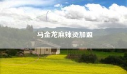 马金龙麻辣烫加盟