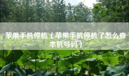 苹果手机停机（苹果手机停机了怎么查本机号码）