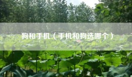狗和手机（手机和狗选哪个）