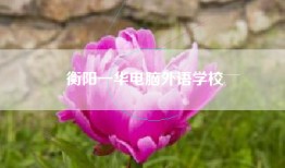 衡阳一华电脑外语学校