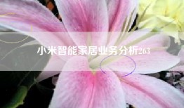 小米智能家居业务分析263