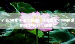 百度搜索关键字抓取_百度搜索引擎收录的抓取规则 - 蜘蛛池