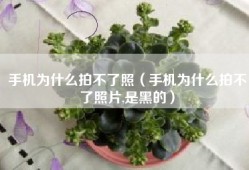 手机为什么拍不了照（手机为什么拍不了照片,是黑的）