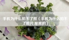 手机为什么拍不了照（手机为什么拍不了照片,是黑的）