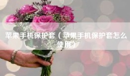 苹果手机保护套（苹果手机保护套怎么使用）