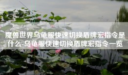 魔兽世界乌龟服快速切换盾牌宏指令是什么-乌龟服快速切换盾牌宏指令一览