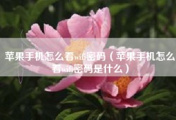 苹果手机怎么看wifi密码（苹果手机怎么看wifi密码是什么）