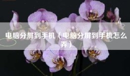 电脑分屏到手机（电脑分屏到手机怎么弄）