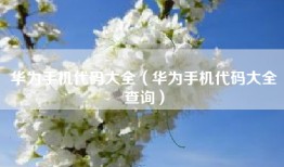 华为手机代码大全（华为手机代码大全查询）