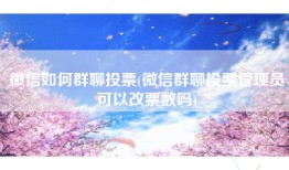 微信如何群聊投票(微信群聊投票管理员可以改票数吗)