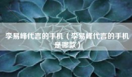 李易峰代言的手机（李易峰代言的手机是哪款）