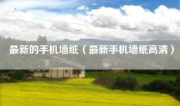 最新的手机墙纸（最新手机墙纸高清）
