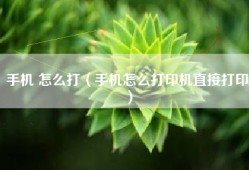 手机 怎么打（手机怎么打印机直接打印）
