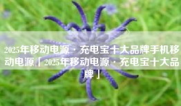2025年移动电源·充电宝十大品牌手机移动电源「2025年移动电源·充电宝十大品牌」
