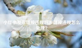 小红书发布链接违规吗？链接违规怎么处理？