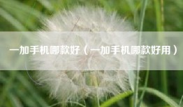 一加手机哪款好（一加手机哪款好用）