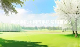 测试手机（测试手机号码吉凶）