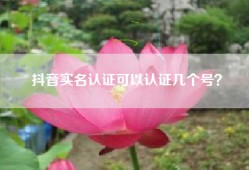 抖音实名认证可以认证几个号？