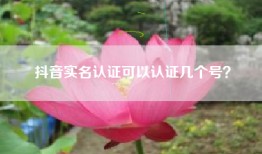 抖音实名认证可以认证几个号？