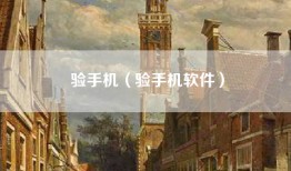 验手机（验手机软件）
