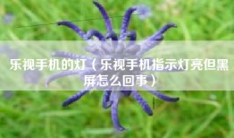 乐视手机的灯（乐视手机指示灯亮但黑屏怎么回事）