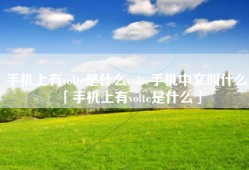 手机上有volte是什么volte手机中文叫什么「手机上有volte是什么」