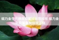 磁力金牛代理商批量代运营投放 磁力金牛批量复制投放工具