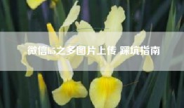 微信h5之多图片上传 踩坑指南