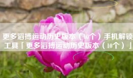 更多滔搏运动历史版本（10个）手机解锁工具「更多滔搏运动历史版本（10个）」