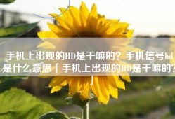 手机上出现的HD是干嘛的？手机信号hd是什么意思「手机上出现的HD是干嘛的？」