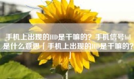 手机上出现的HD是干嘛的？手机信号hd是什么意思「手机上出现的HD是干嘛的？」