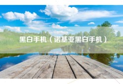 黑白手机（诺基亚黑白手机）