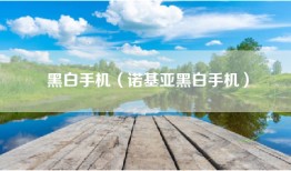 黑白手机（诺基亚黑白手机）