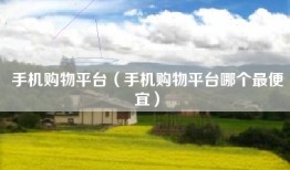 手机购物平台（手机购物平台哪个最便宜）