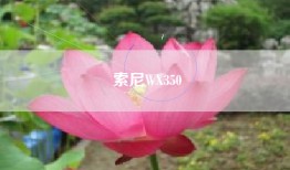 索尼WX350