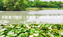 手机重力感应（手机重力感应有什么用）
