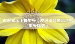 说说显示手机型号（发说说会显示手机型号除去）
