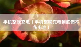 手机整晚充电（手机整晚充电到底伤不伤电池）