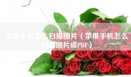 苹果手机怎么扫描图片（苹果手机怎么扫描图片成PDF）