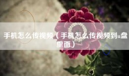 手机怎么传视频（手机怎么传视频到u盘里面）