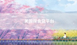 美国现金贷平台