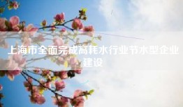 上海市全面完成高耗水行业节水型企业建设