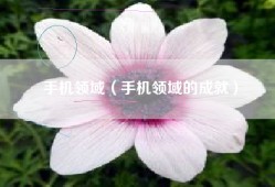 手机领域（手机领域的成就）