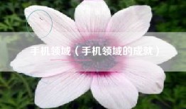 手机领域（手机领域的成就）