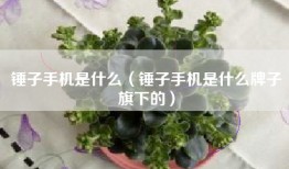 锤子手机是什么（锤子手机是什么牌子旗下的）