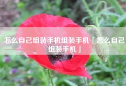 怎么自己组装手机组装手机「怎么自己组装手机」