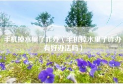 手机掉水里了咋办（手机掉水里了咋办有好办法吗）